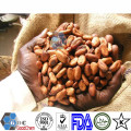 Beurre de cacao biologique de haute qualité à vendre